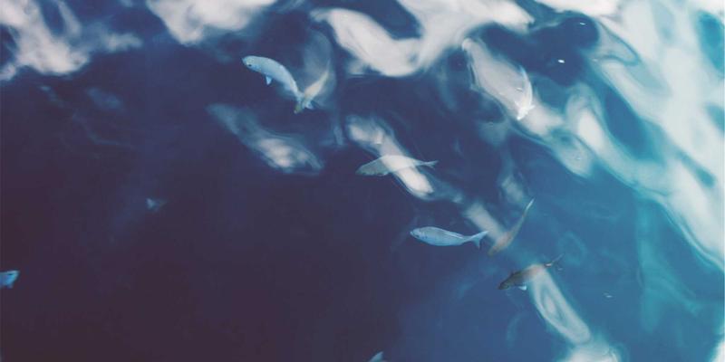 从精密加工到智慧工厂：武汉金诺如何以IIoT平台实现设备远程监控与数据驱动优化