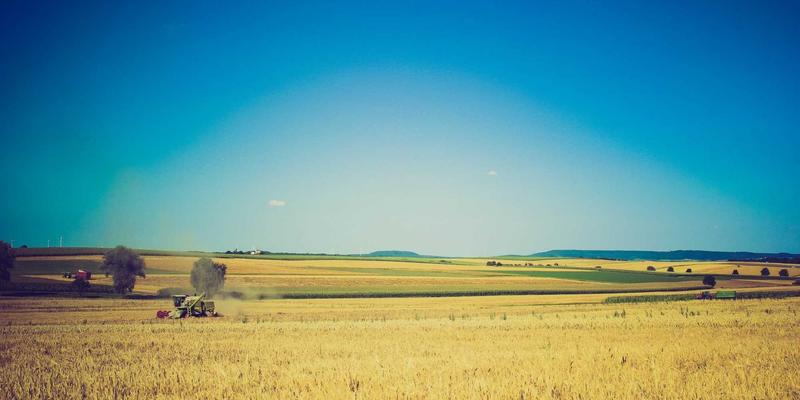 从精密加工到智能集成:武汉金诺如何重塑食品饮料行业后道包装与码垛新标杆