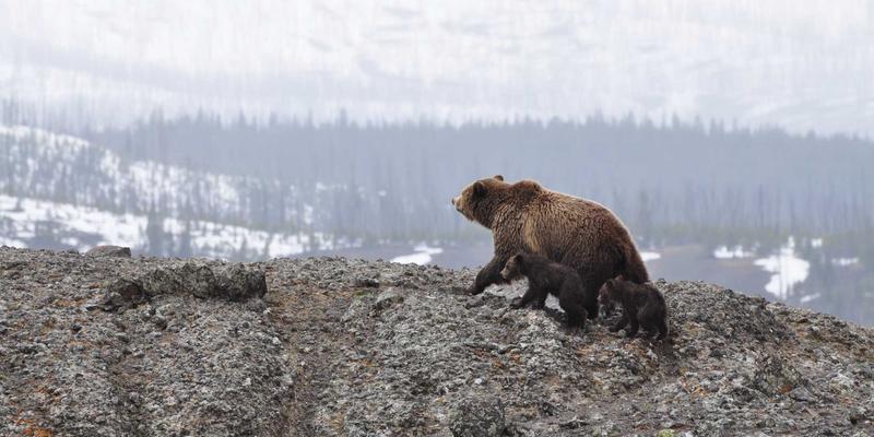 智造“芯”未来：武汉金诺如何以精密加工与自动化设备重塑半导体封装测试新格局