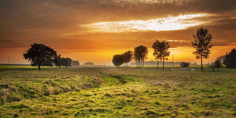 武汉金诺灵活用工平台：如何为重型机械与机械加工行业破解人才困局？