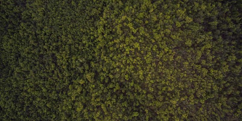 深耕江城，智造未来：武汉金诺如何成为本土机械加工与工业设备领域的标杆企业