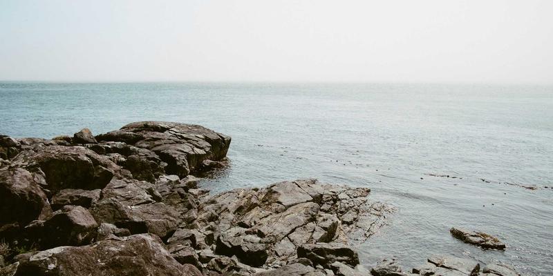 精密智造，合规先行：武汉金诺如何以技术创新重塑医疗器械自动化组装与包装新标杆